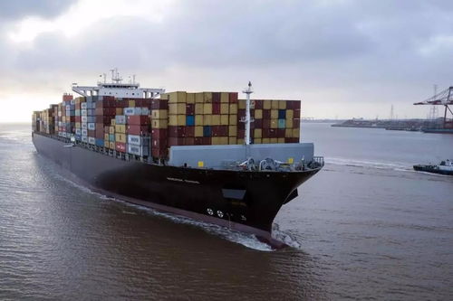 连州澳洲海外仓 悉尼海运拼箱与海空自贸海外仓综合解析