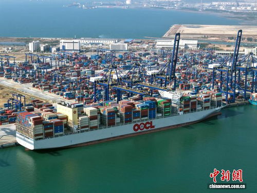 海南封关看变化 洋浦港打通一袋猫砂出海堵点，海空自贸海外仓崛起