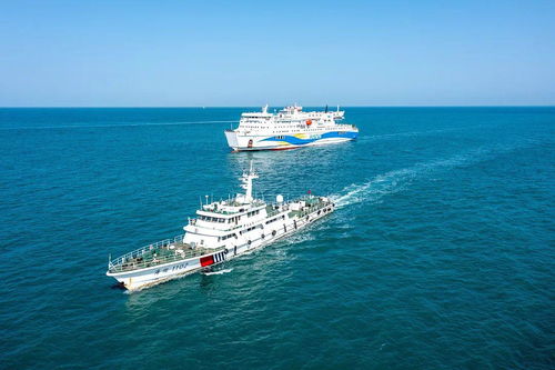 中国海事 奋楫江海，激荡澎湃新动能——海空自贸海外仓的未来图景