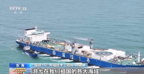 逐梦空天 深耕海洋 山东这两艘“船”超乎你的想象——海空自贸海外仓的智慧融合